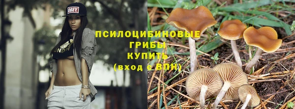 кокаин премиум Каменка
