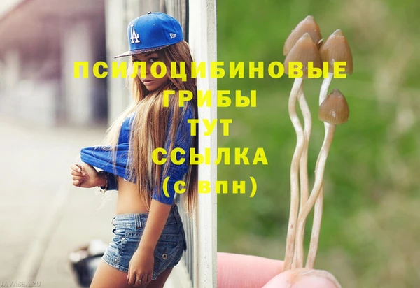 кокаин премиум Каменка