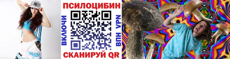 закладки  Отрадная  Псилоцибиновые грибы Psilocybine cubensis 